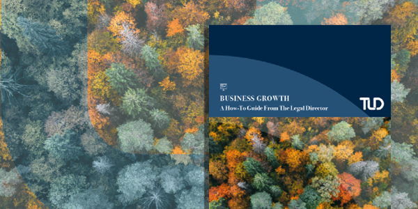 BusinessGrowth_PromoGraphic