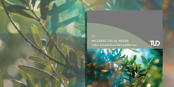 OngoingLegalNeeds_PromoGraphic